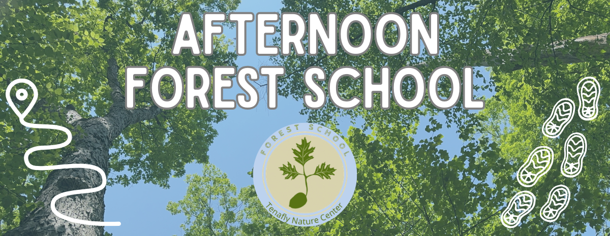 Fall Afternoon Forest School